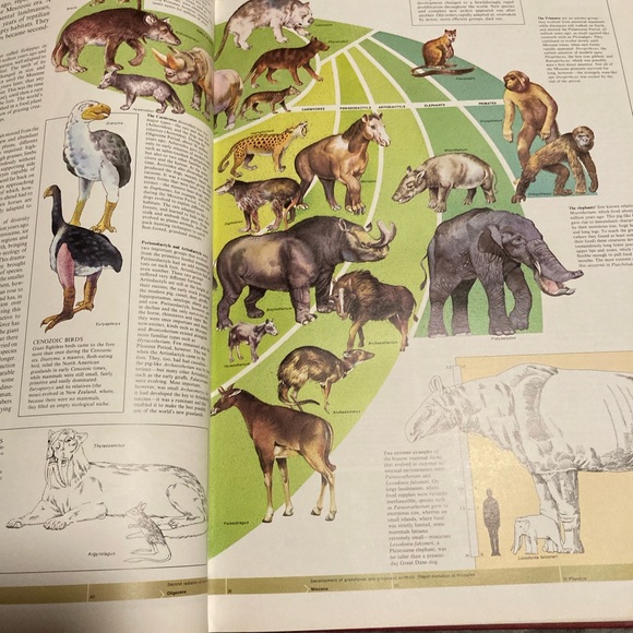 The World Book Great Geographical Atlas Chicago - Picture 7 of 16